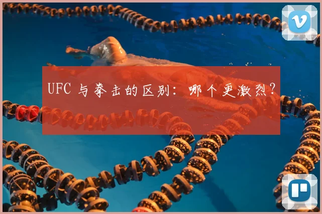 UFC 与拳击的区别:哪个更激烈?